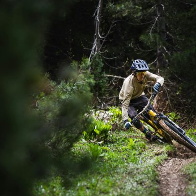 aBiIv_IqRLdaB3Ru_LudoMay_ForestJCB301M144_EdgeJ5623816©Jérémie_Reuiller55